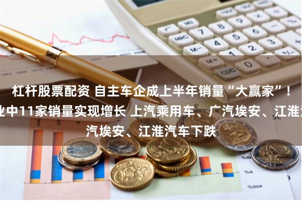 杠杆股票配资 自主车企成上半年销量“大赢家”！14家企业中11家销量实现增长 上汽乘用车、广汽埃安、江淮汽车下跌