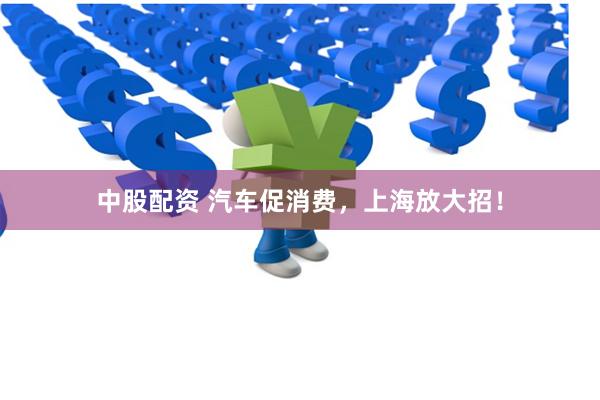中股配资 汽车促消费，上海放大招！