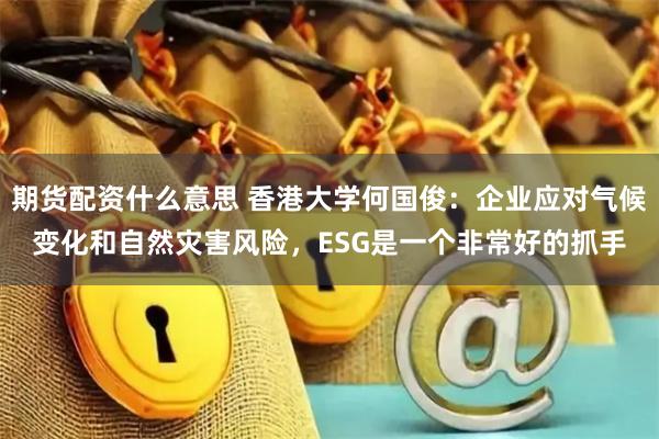 期货配资什么意思 香港大学何国俊：企业应对气候变化和自然灾害风险，ESG是一个非常好的抓手