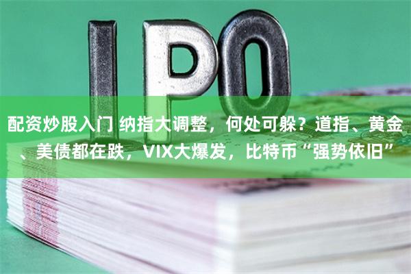 配资炒股入门 纳指大调整，何处可躲？道指、黄金、美债都在跌，VIX大爆发，比特币“强势依旧”